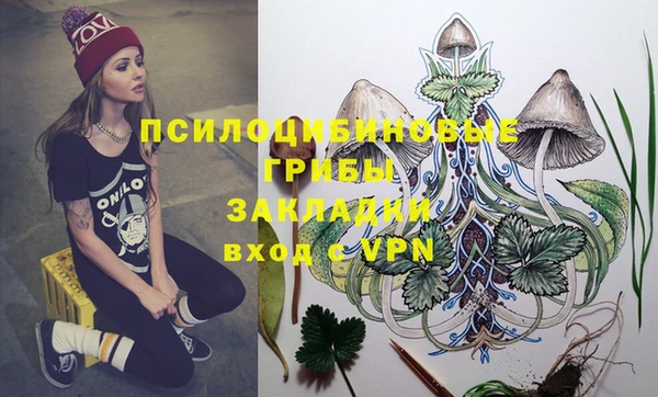 амф Вязьма